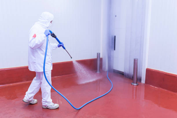 Best Patio and Deck Pressure Washing  in Hazel Crest, IL