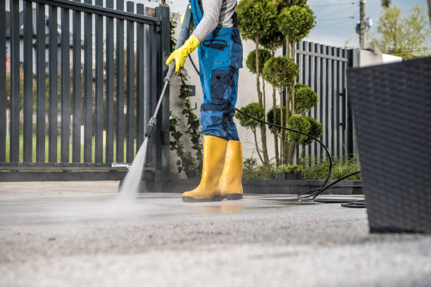 Best Driveway Pressure Washing  in Hazel Crest, IL